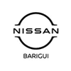 Nissan Barigui Blumenau